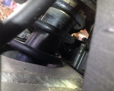 image.jpeg (772.97 KiB) 11355 mal betrachtet Fderbein von unten