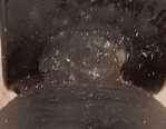 Succhbild_05k.jpg