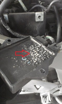 IMAG0589.jpg