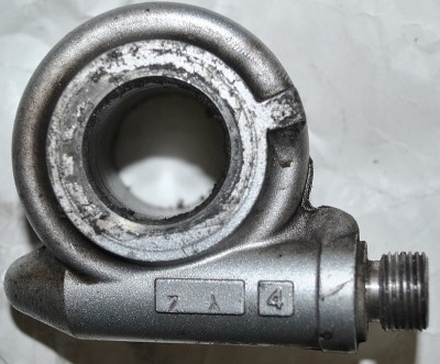 schnecke1.jpg