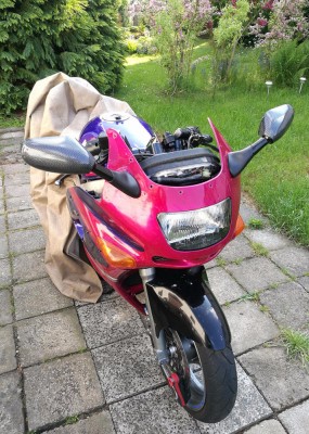 ZZR600-neue Spiegel komplett.jpg