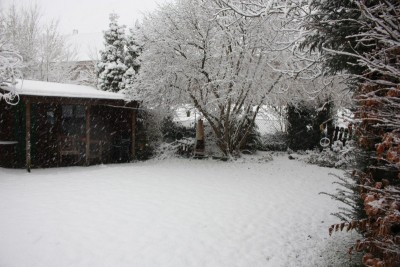Winter Dez.2017