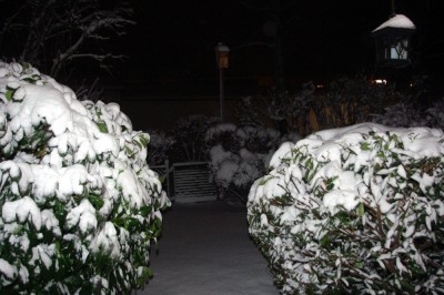 Winter 2017.jpg