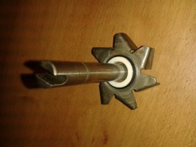 Gleitring