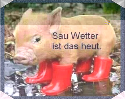 sauwetter.jpg