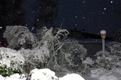 Januar 06 2019.jpg