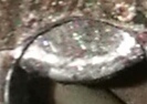 IMG_20190127_170422.jpg