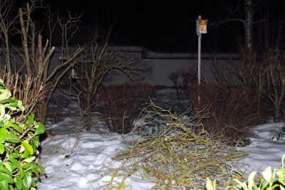 2019 Januar 28.jpg