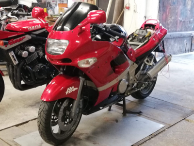 test-Bild-nicht-ganz-scharf_png-500x200.png