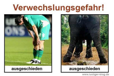 WhatsApp Bild 2025-08-18 um 08.35.37_02e331b0.jpg