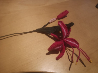 WhatsApp Bild 2025-12-15 um 18.07.11_3a37536a.jpg