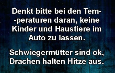 Drachen-halten-Hitze-aus.jpg