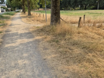 20260815_093531_klein.jpg