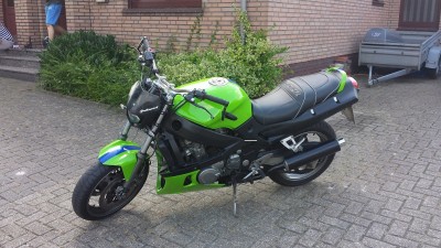 Kawa grün klein4.jpg
