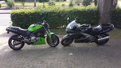 kawa grün klein5.jpg