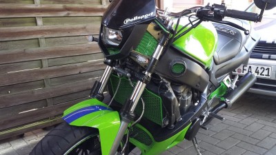 kawa grün klein7.jpg