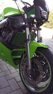 kawa grün klein8.jpg
