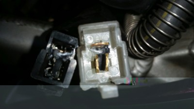 Der dreipolige Stecker